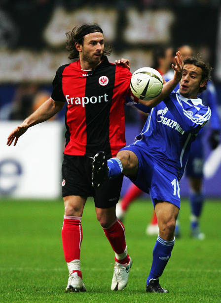 在接下来的 在接下来的